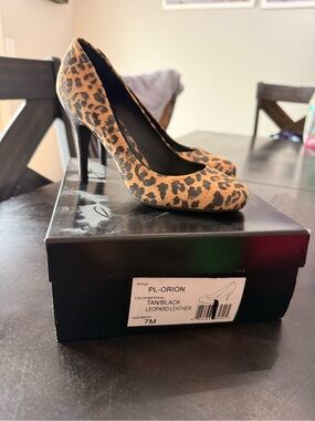 BCBG Leopard Print Pumps in Tan and Black